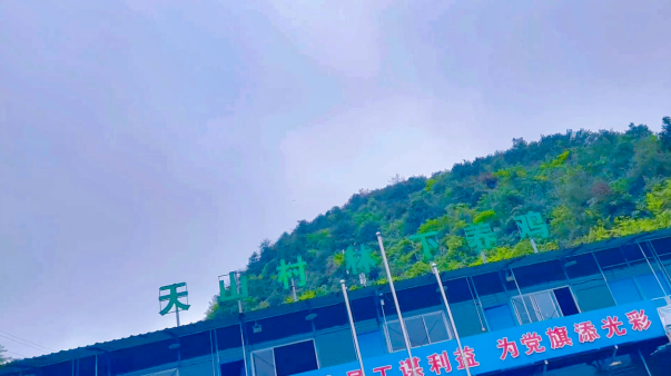 https://www.cheaie.com/uploadfile/202608/0d951ae0cdc17592218483a456ff3d6b.png
